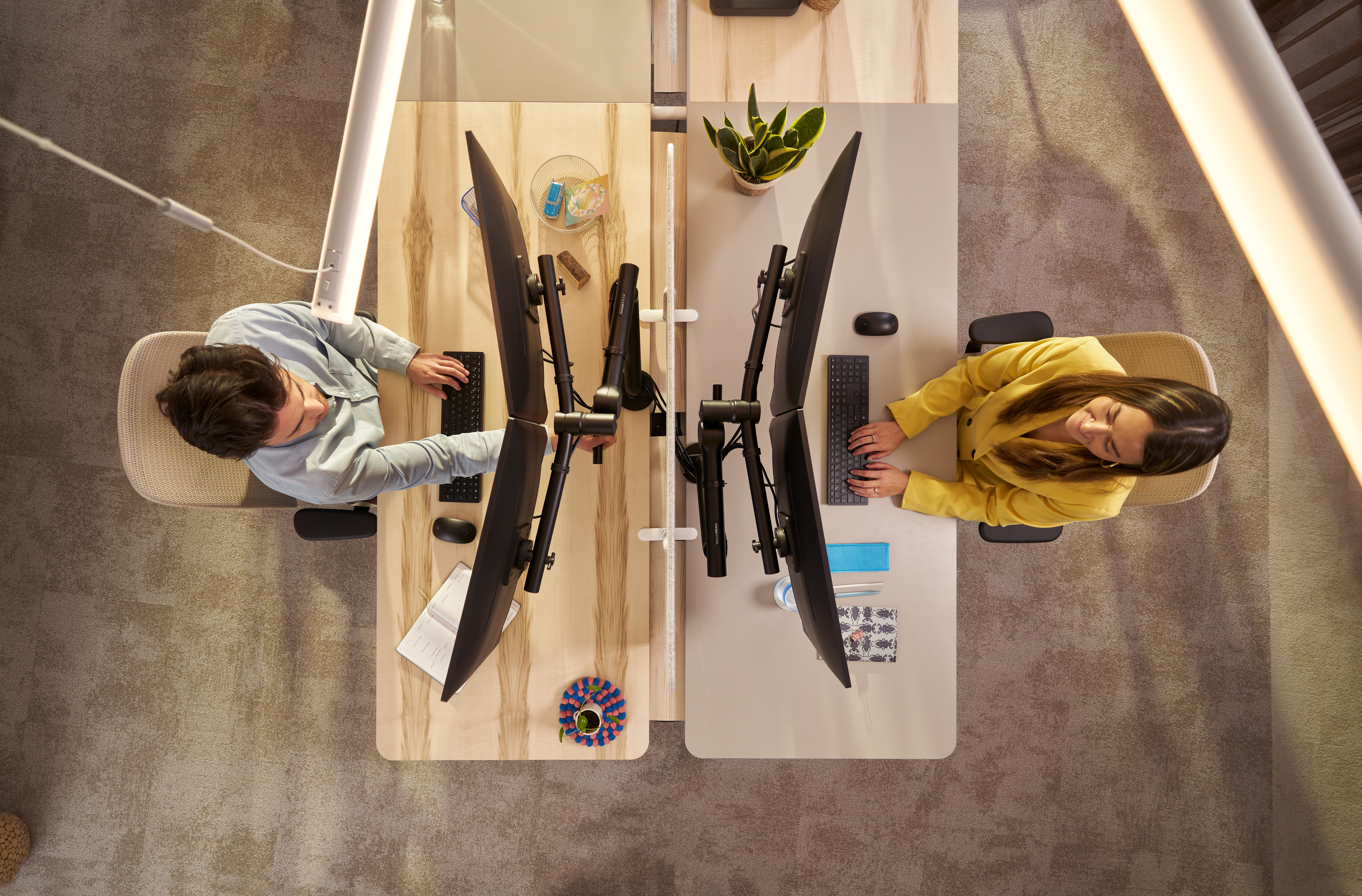 Discover the new Viewprime collection