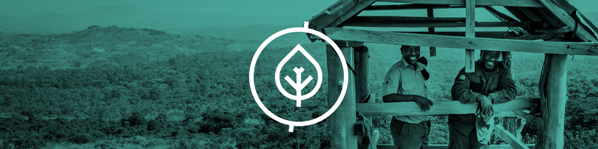 (No-)Orgatec 2020: Learn about our newest (future) developments.