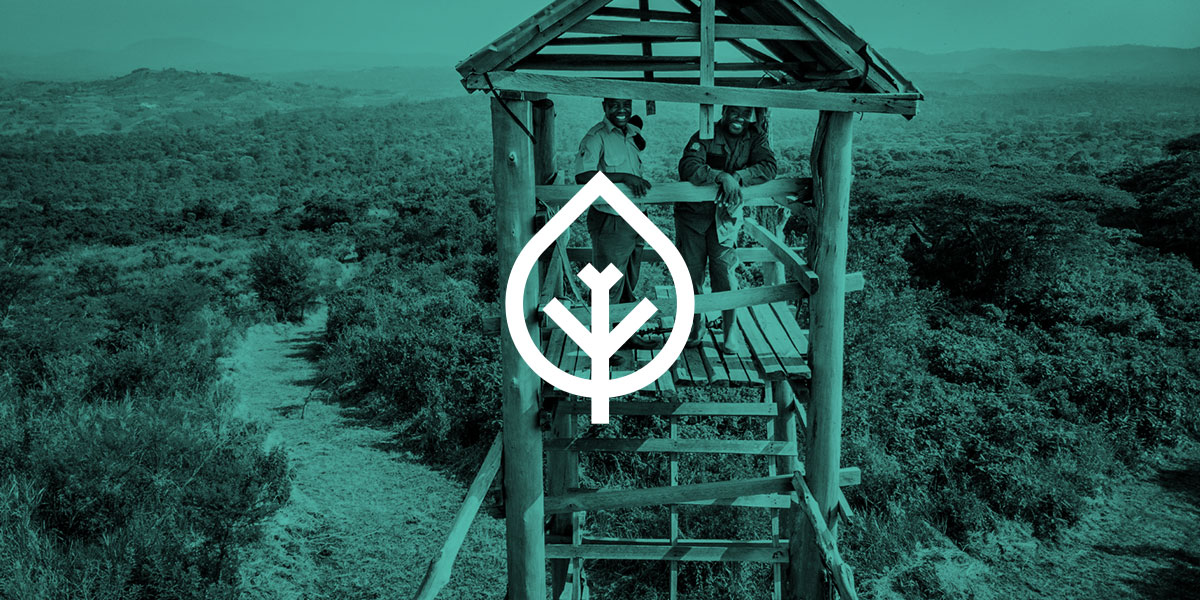 Dataflex 100% Carbon Neutral